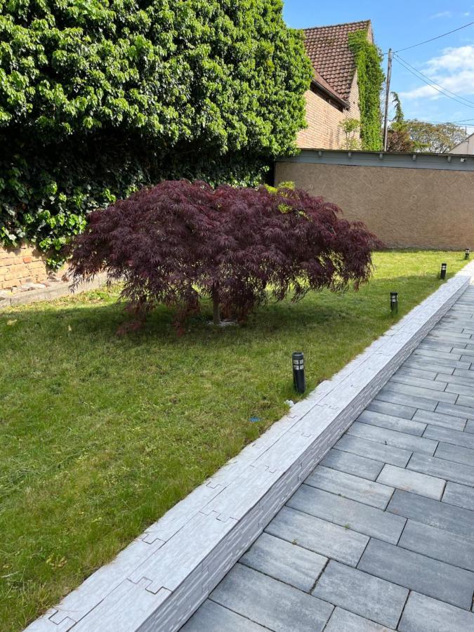 Logement De Charme - W&B House Dorlisheim エクステリア 写真